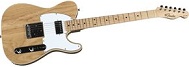 FenderCustomArtistSeriesAlbertCollinsSignatureSmall.jpg